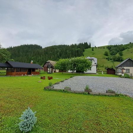 Casa Dumitru Si Elena Ciocanesti Bucovina Eksteriør bilde