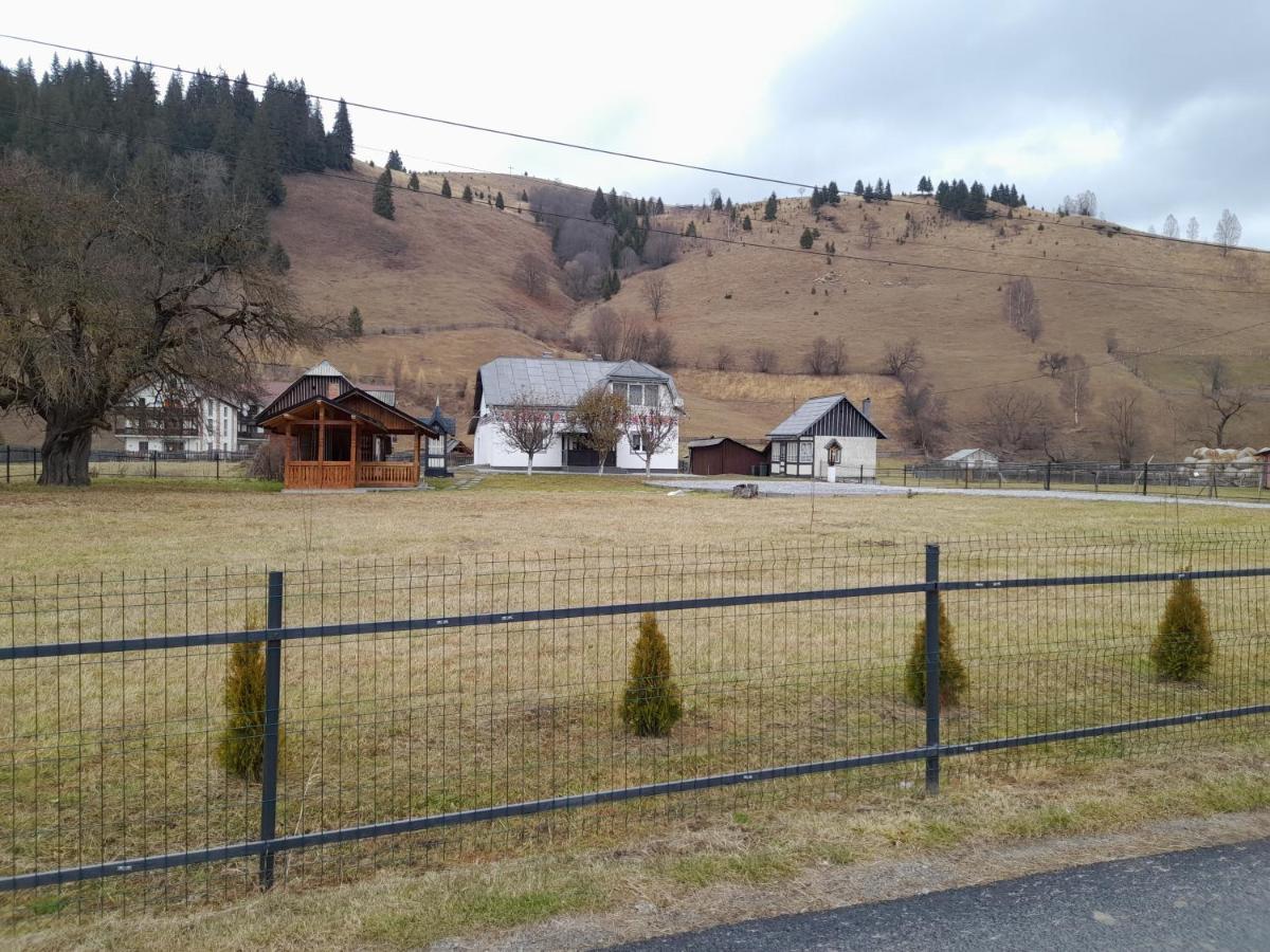 Casa Dumitru Si Elena Ciocanesti Bucovina Eksteriør bilde