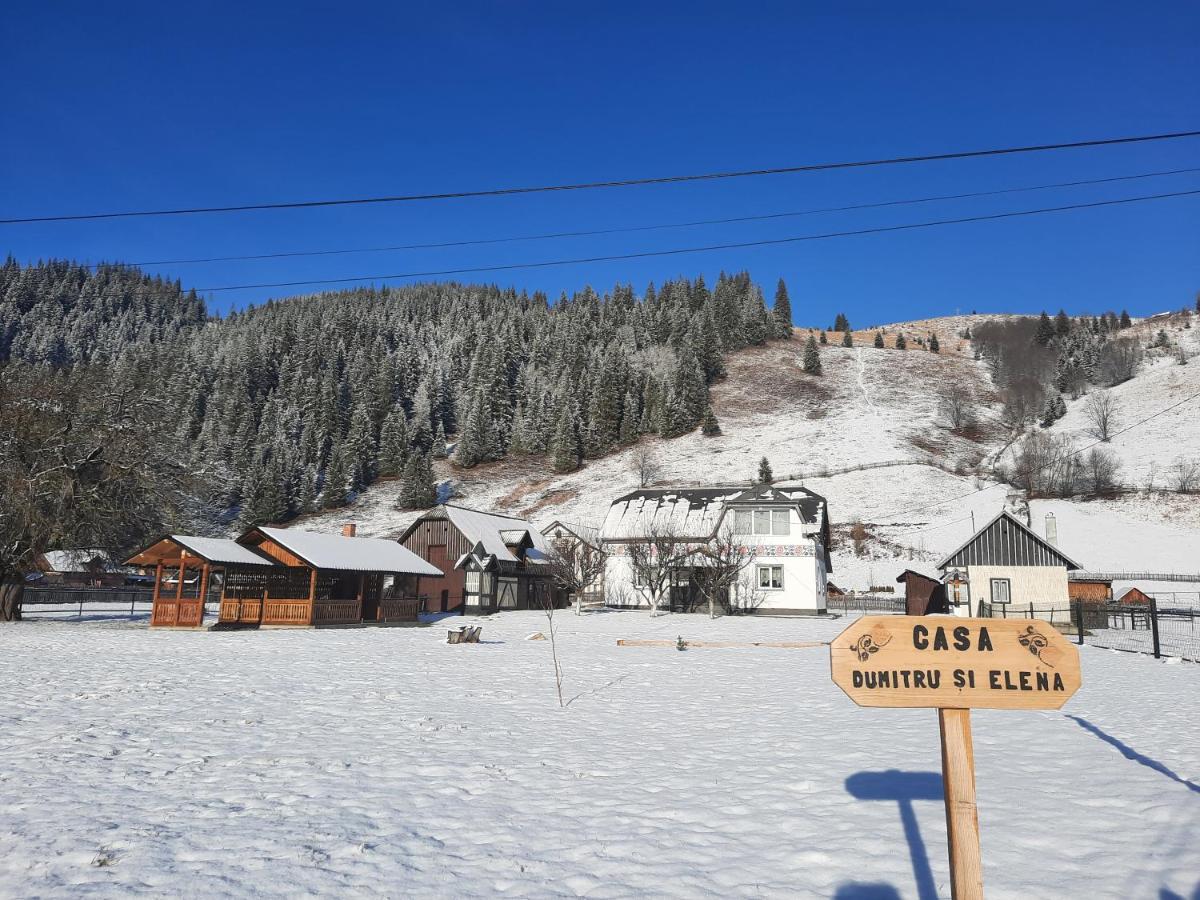Casa Dumitru Si Elena Ciocanesti Bucovina Eksteriør bilde