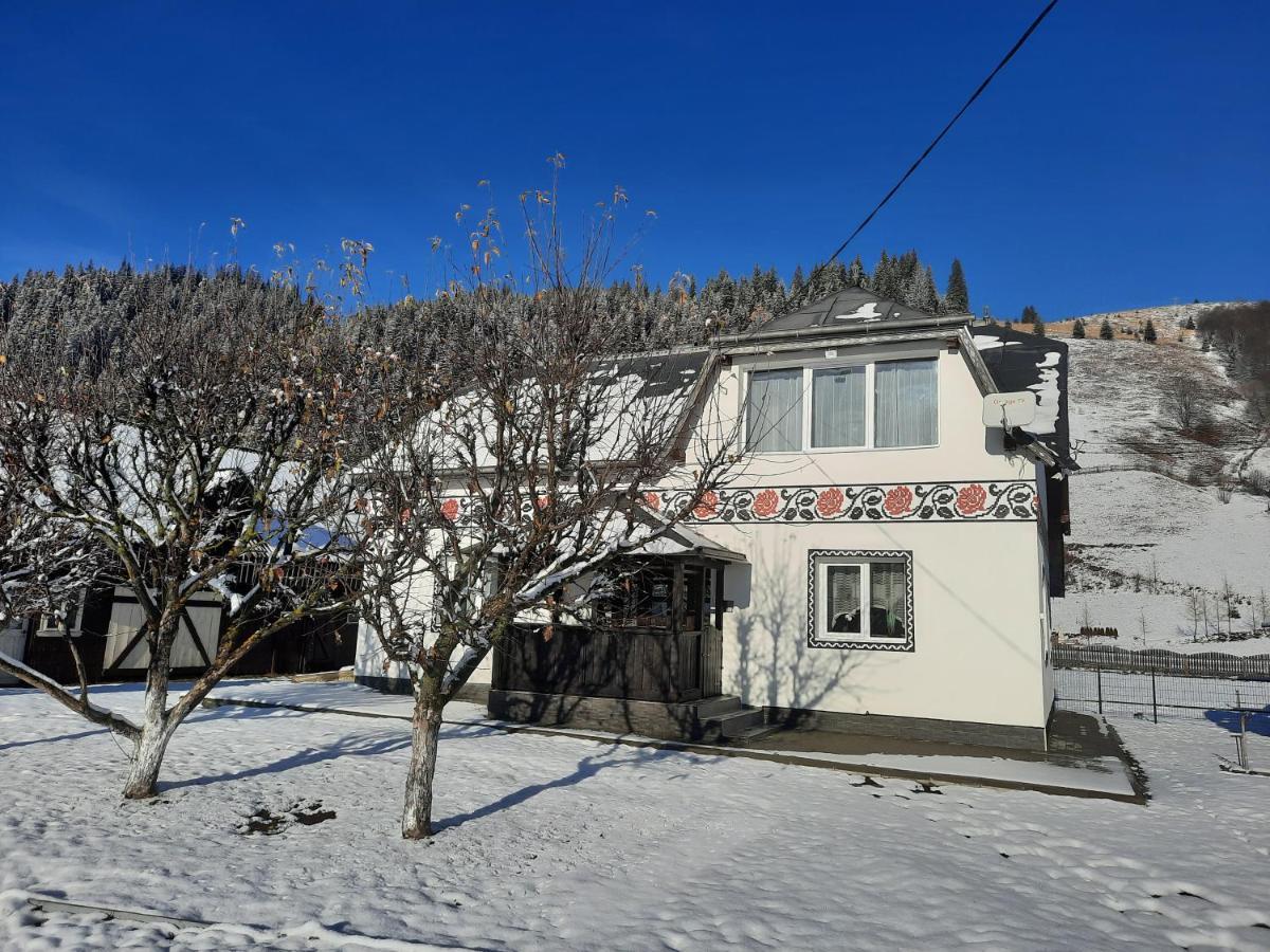 Casa Dumitru Si Elena Ciocanesti Bucovina Eksteriør bilde