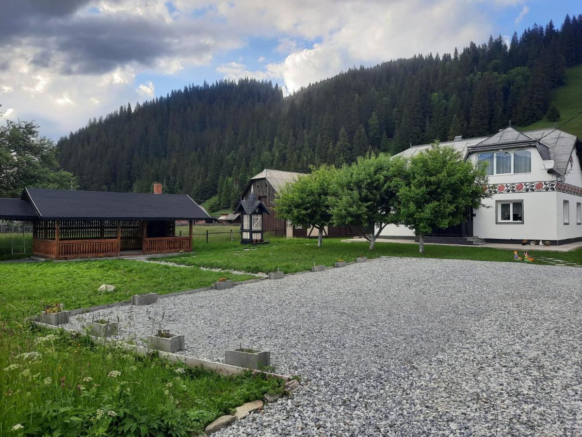 Casa Dumitru Si Elena Ciocanesti Bucovina Eksteriør bilde